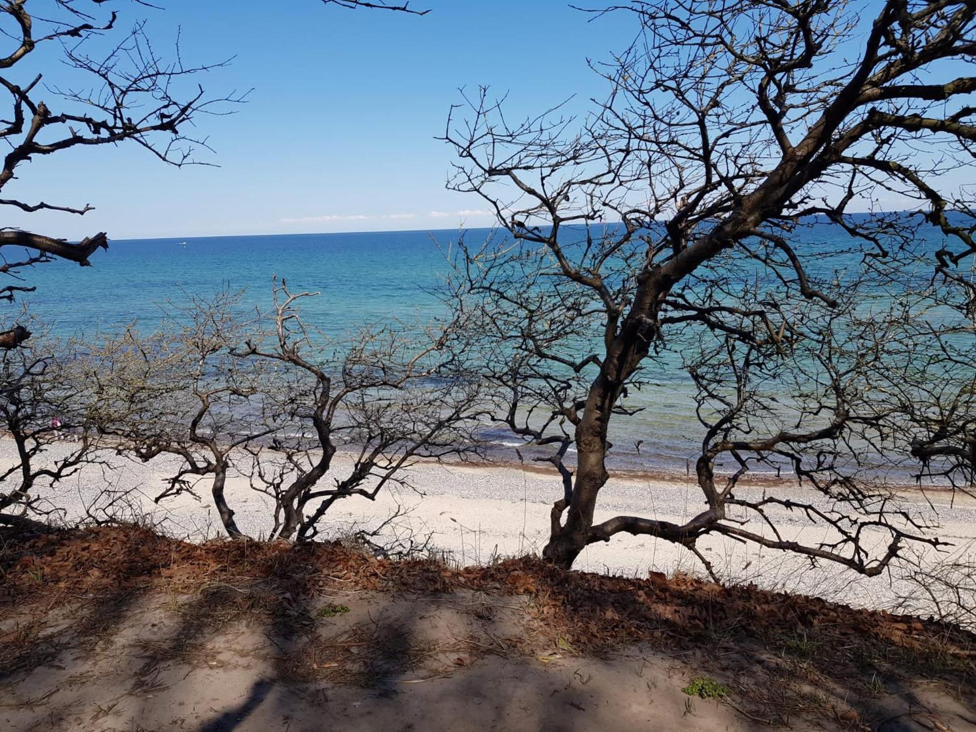 Elmenhorst/Lichtenhagen Strandnahe Finnhuette מראה חיצוני תמונה